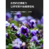 Viltrox唯卓仕 2代 85mm F1.8 STM FX 自動對焦 fuji富士鏡頭 大光圈 人像鏡 定焦鏡：圖片 10