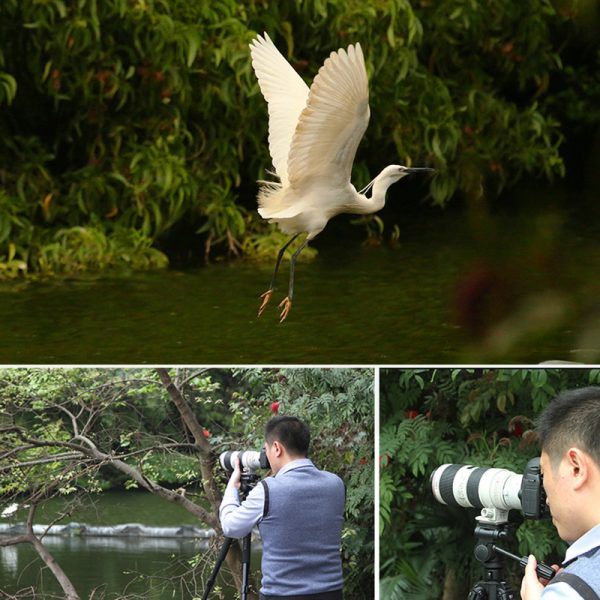 唯卓仕 C-AF 2X 增倍鏡 白色 適用Canon EOS EF