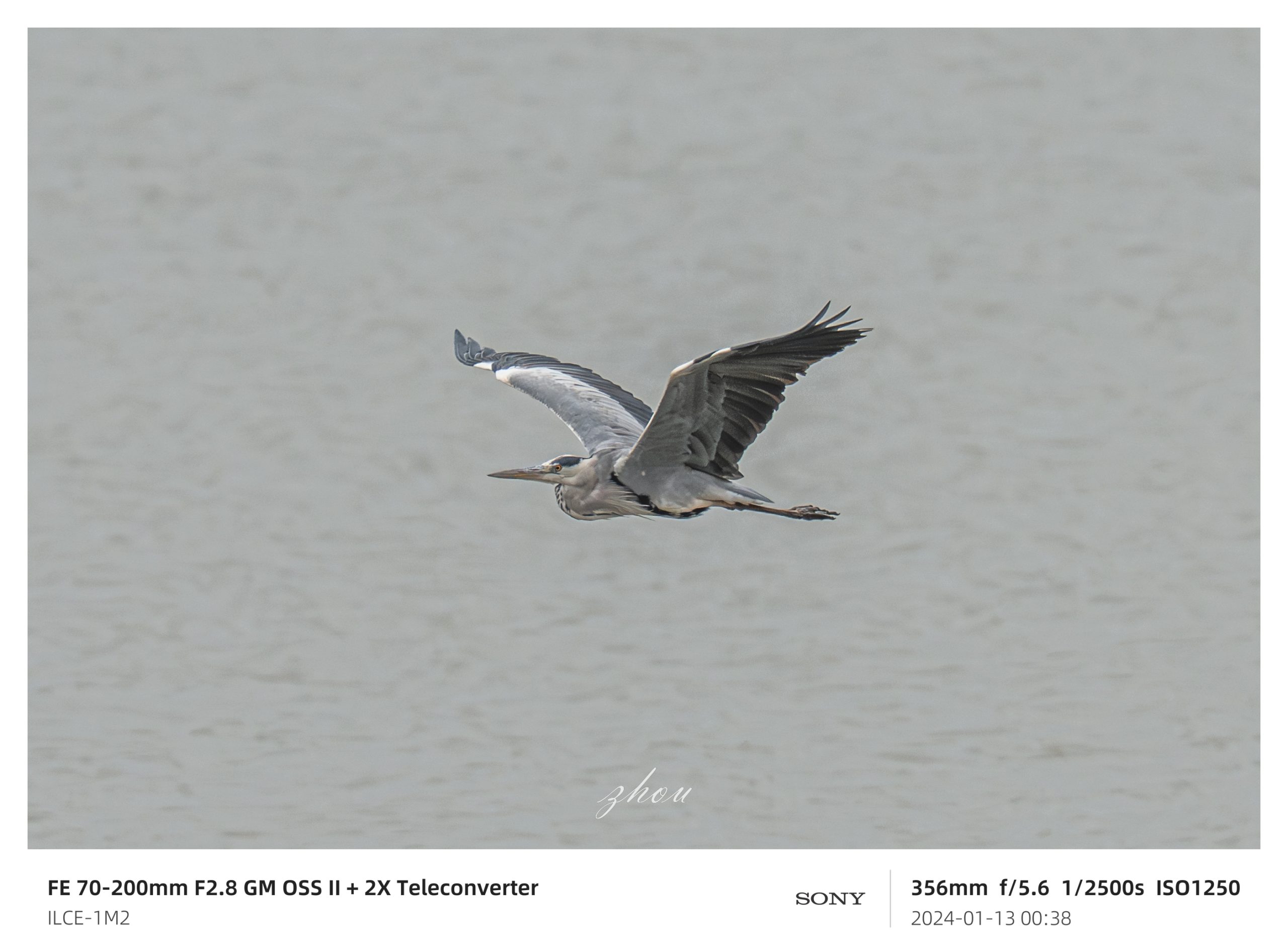 (預購中)唯卓仕 Viltrox TC 2.0x Sony E-mount Teleconverter 2.0倍高效能增距鏡 遠攝增距鏡 2倍增距 自動對焦:圖片 19