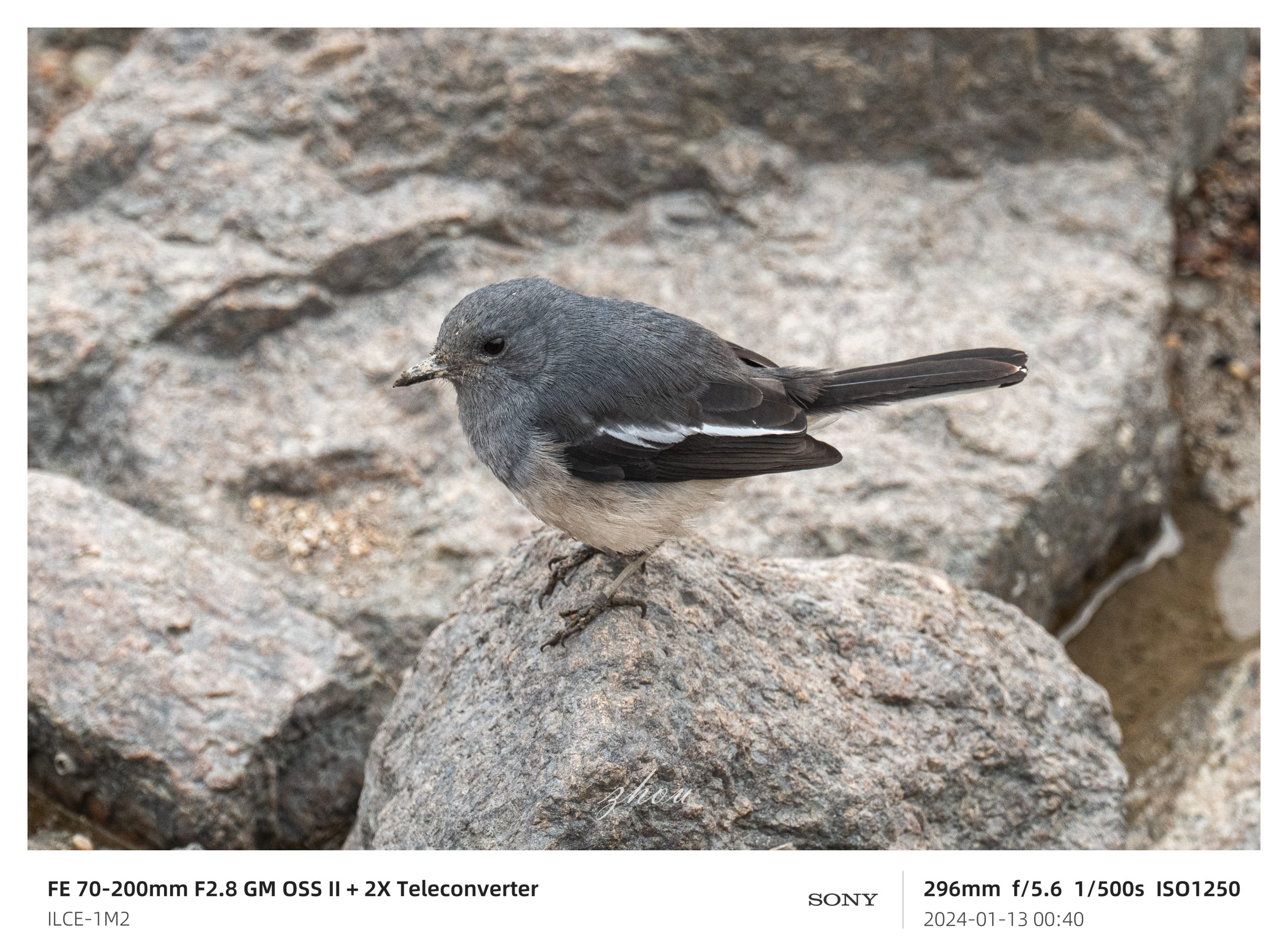 (預購中)唯卓仕 Viltrox TC 2.0x Sony E-mount Teleconverter 2.0倍高效能增距鏡 遠攝增距鏡 2倍增距 自動對焦:圖片 17