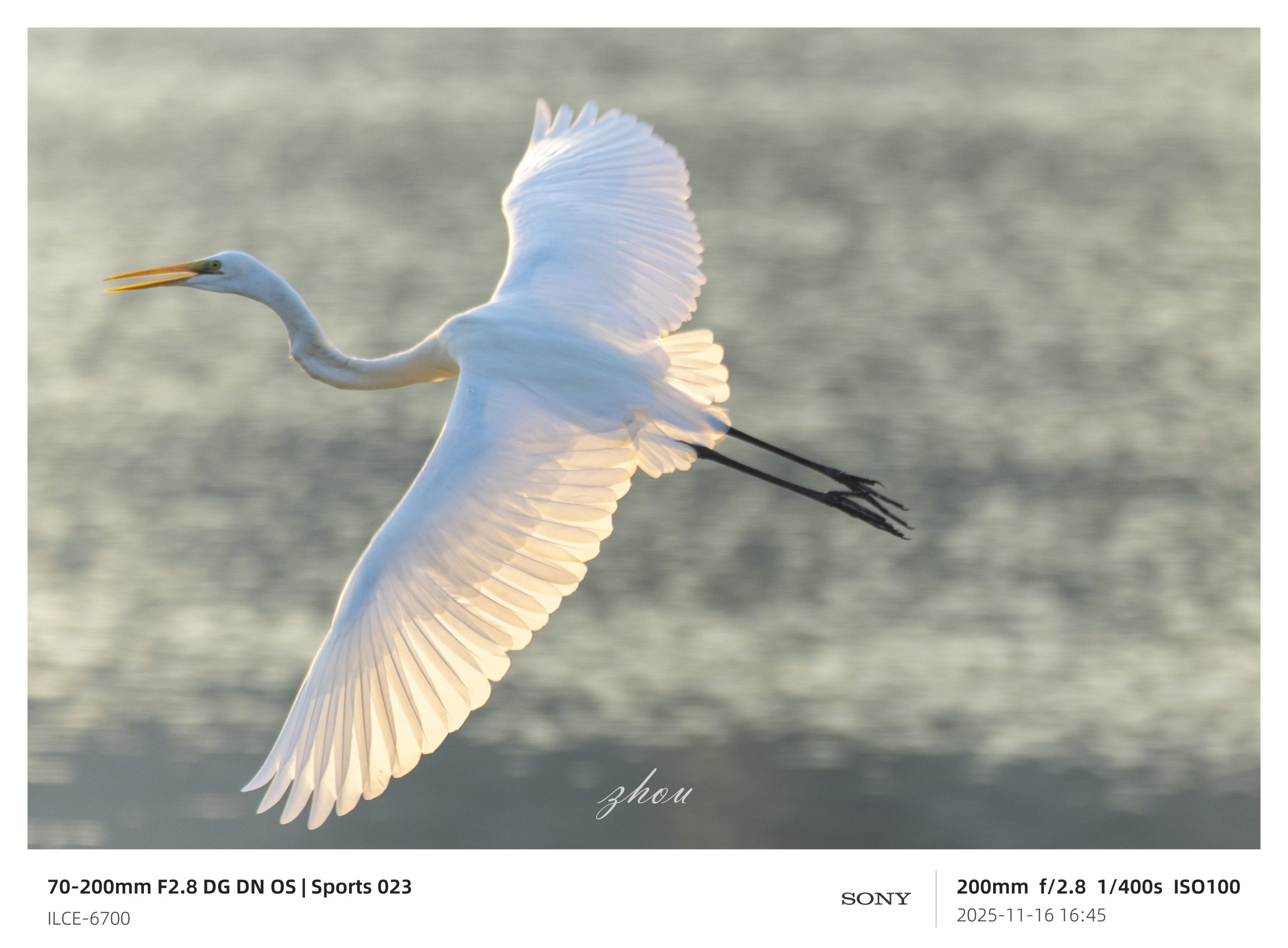 (預購中)唯卓仕 Viltrox TC 2.0x Sony E-mount Teleconverter 2.0倍高效能增距鏡 遠攝增距鏡 2倍增距 自動對焦:圖片 18