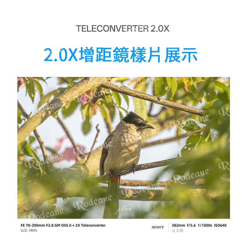 (預購中)唯卓仕 Viltrox TC 2.0x Sony E-mount Teleconverter 2.0倍高效能增距鏡 遠攝增距鏡 2倍增距 自動對焦:圖片 8